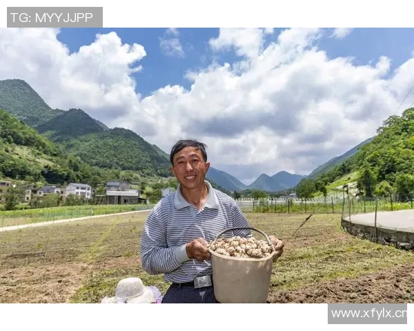 杨麻子与乡村振兴的故事:从贫困到富裕的奋斗历程与启示 杨麻子与乡村振兴的故事:从贫困到富裕的奋斗历程与启示