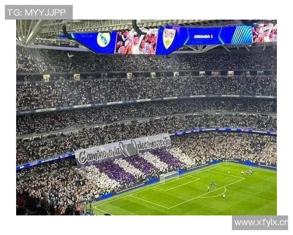 意大利足球强势出击爱沙尼亚能否迎头赶上挑战之路