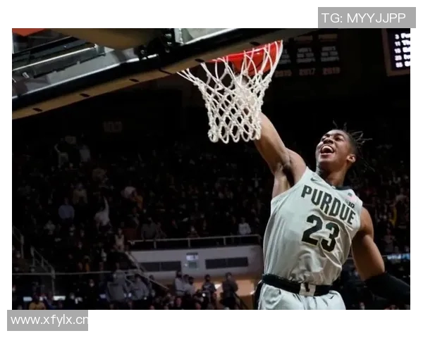 杰登艾维的崛起之路：从大学明星到NBA新星的奋斗历程